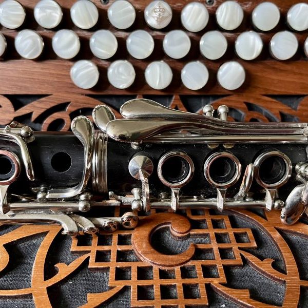 Accordion and clarinet nestling together